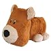 Treasure Chest Pet Media Chest Bear