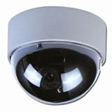 DUM-D02 Fake Security Camera, Dome, White Case, Clear Dome