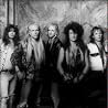 Image of McAuley-Schenker Group