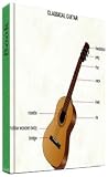 Learn the Guitar