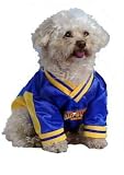 Licensed Soccer Air Bud Pet Costume