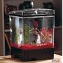 PIRATE KIT 1.5 GALLON CUBE DAVY JONES
