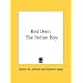 Red Deer: The Indian Boy
