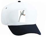 White Cap with perch, animal, bird, Texas