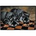Schnauzer Dogs Indoor / Outdoor Designer Doormat