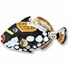 Clearly Charming Tropical Clown Triggerfish Sterling Silver and Enamel Pin
