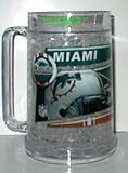 Miami Dolphins Hi Definition Crystal Freezer Mug