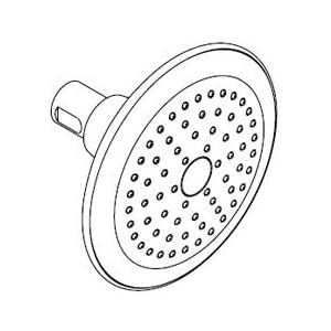 Kohler K-45123-CP Alteo Single-Function Katalyst Showerhead, Polished Chrome