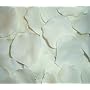 200 Silk Rose Petals Wedding Favors - Solid Colors - Ivory