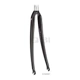 Dimension RT-10 1 Threadless Carbon Fork Alloy Ateer