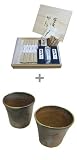 CONCENT ＜信州松本こばやし＞ 伝承の乾麺[極実]＋焼酎マグセット