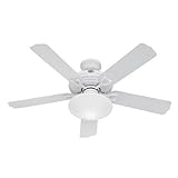 Hunter Fan Beaufort Outdoor Ceiling Fan