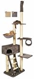 Zaragoza Cat Tree Reaches the Ceiling (4393)