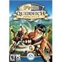 Harry Potter: Quidditch World Cup
