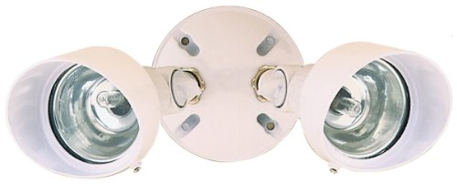 Heath Zenith SL-5592-WH 100 Watt Compact Twin Halogen Floodlight, Bulb and Backplate Included, White