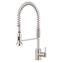 Danze D457158SS Parma Single-Handle Pre-Rinse Faucet, Stainless Steel