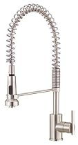 Danze D457158SS Parma Single-Handle Pre-Rinse Faucet, Stainless Steel