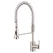 Danze D457158SS Parma Single-Handle Pre-Rinse Faucet, Stainless Steel