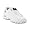 White/Silver
