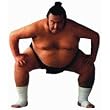 Sumo Wrestler Die-Cut Photographic Magnet