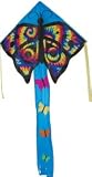 Tie Dye Butterfly Easy Flyer