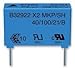 EPCOS B81123C1103M CAPACITOR POLYPROPYLENE PP FILM 0.01UF 250VAC 20%, RADIAL (10 pieces)