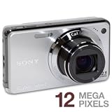 cheap Sony Cyber-shot DSC-W290 12.1 MP Digital Camera with 5x Optical Zoom and Super Steady Shot Image Stabilization (Silver)