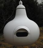 Gourd-Oval Hole