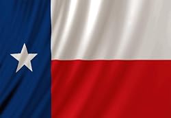 Texas Flag Fabric Shower Curtain Lone Star Texan