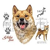 Shiba Inu Adult T-Shirt