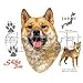 Shiba Inu Adult T-Shirt