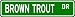 BROWN TROUT Street Sign ~ Fishing ~ Great Fish Sign for your Lodge, Gameroom, Basement, Garage, Barn - 4 x 18 inches