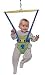 Tippitoes Doorway Bouncer