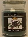 Beanpod Candle, Eucalyptus Lavender 16 oz Scented Soy Jar Candle