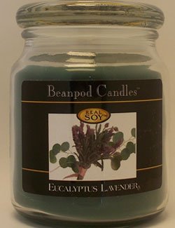 Beanpod Candles, Eucalyptus Lavender,16-Ounce 