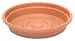 SAUCER 6