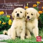 image link -  - B0028636VO