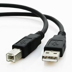 Mediabridge - Hi-Speed USB 2.0 Cable (6 Feet)