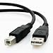Mediabridge - Hi-Speed USB 2.0 Cable (6 Feet)
