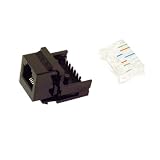 BELKIN R6D019 Black RJ12 Tool-Free Jack