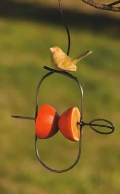 Hanging Fruit Spear