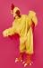 Chicken Costume