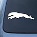 GREYHOUND RUN - Dog - Vinyl Car Decal Sticker #1519 | Vinyl Color: White