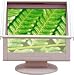E�t�B���^�[GREEN�X�[�p�[�X���� LCD15 �X�[�p�[�G�N�Z�����g GDF-SX15S