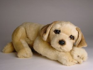 image link -  - B0006FJD0M