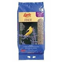 Lyric Finch Mix