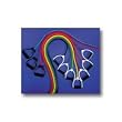Power Cable - Model R10 (Black) - Heaviest
