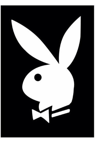 Empire 18434 Playboy - Bunny - Classic Logo, Poster ca. 91,5 x 61 cm
