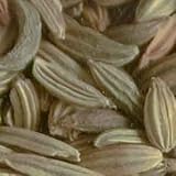 Fennel Seed By ChefShop.com