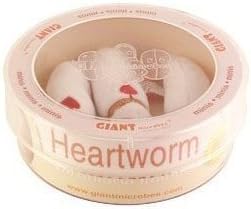 Giant Microbes Heartworm Dirofilaria Immitis Petri Dish